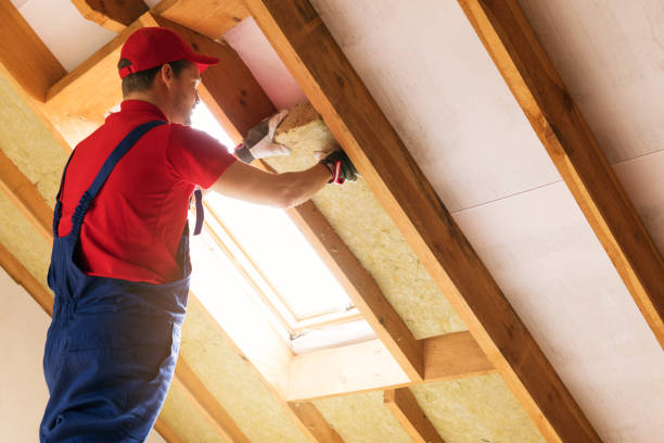 Professional Insulation in Buttonwillow, CA